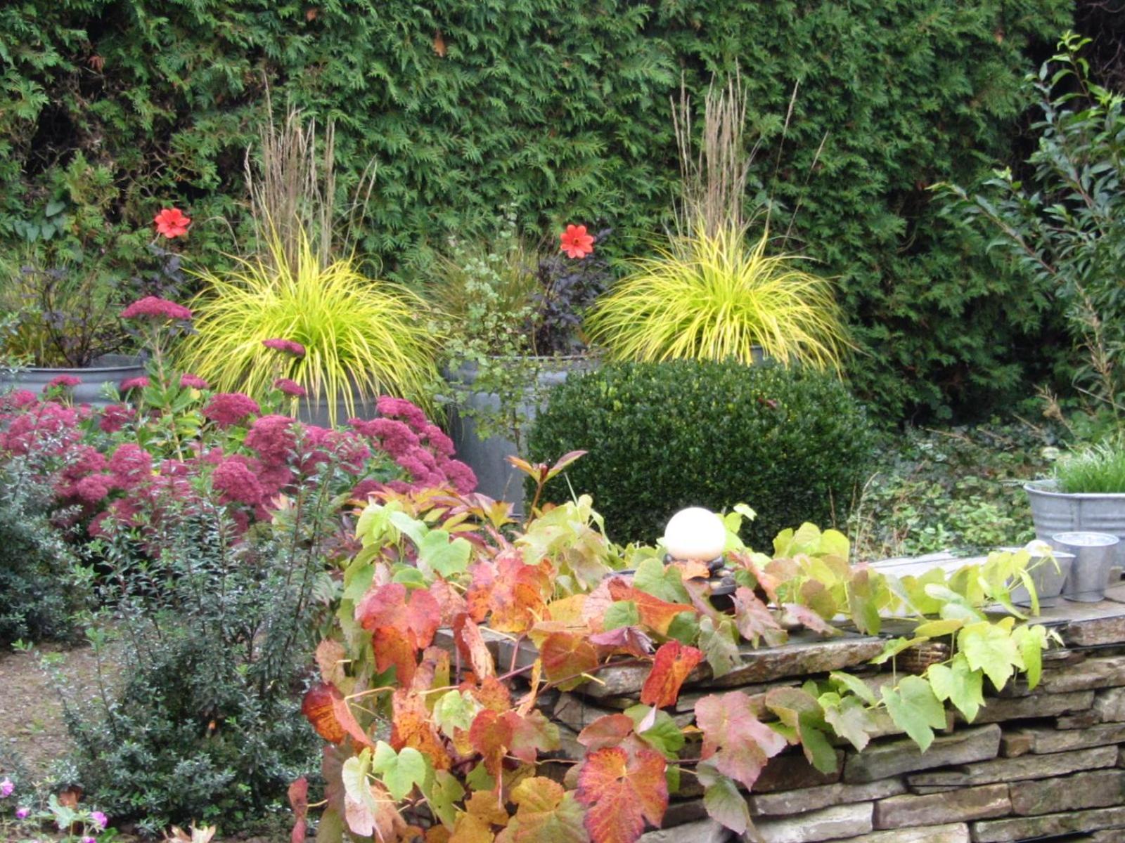 Reve Gourmand Bed and Breakfast Beauraing Exteriör bild